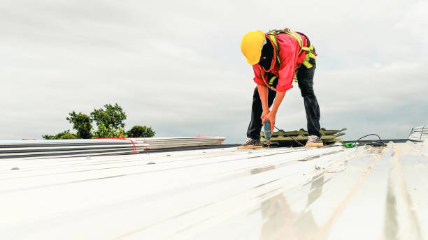 Best Skylight Installation and Repair  in Ilchester, MD