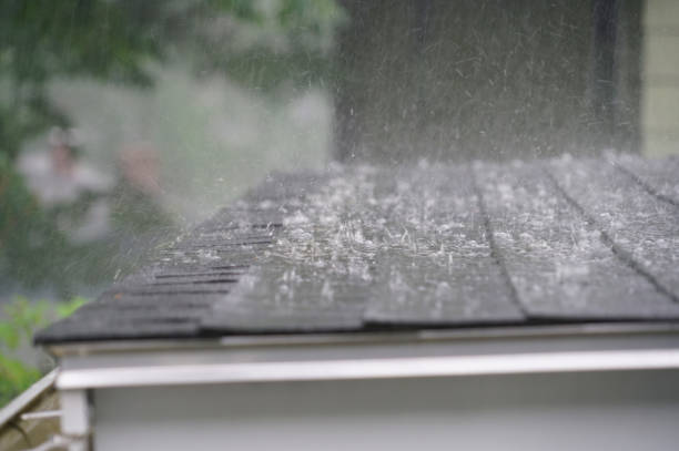 Best Sheet Metal Roofing  in Ilchester, MD