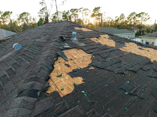 Best Skylights  in Ilchester, MD