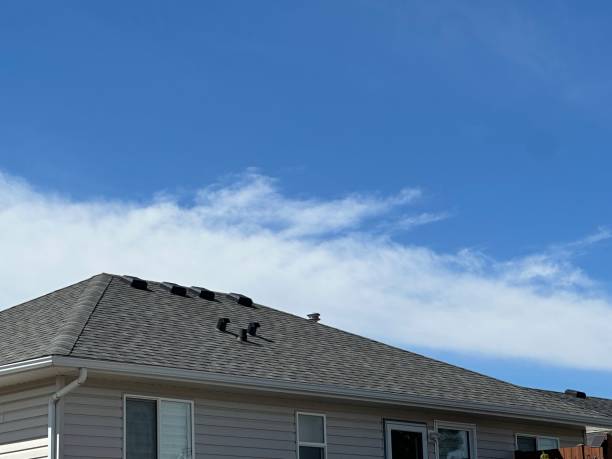 Reliable Ilchester, MD Roofing Service Solutions